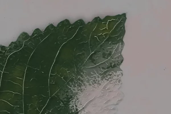 Cuidar la casa… o desaparecer con ella